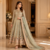Elegant Pakistani fancy dress with gold embroidery by Anwar Brothers