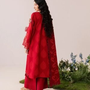 Red embroidered 3-piece suit with intricate floral detailing.