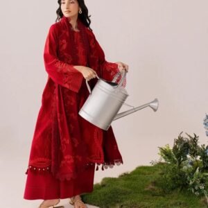 Red embroidered 3-piece suit with intricate floral detailing.
