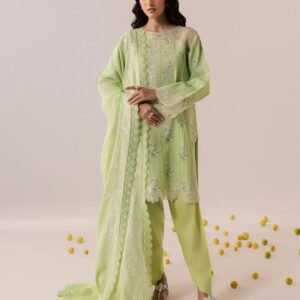 Pistachio green embroidered 3-piece suit with delicate floral detailing and matching trousers.