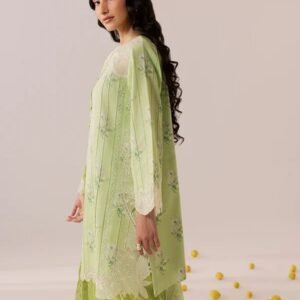 Pistachio green embroidered 3-piece suit with delicate floral detailing and matching trousers.